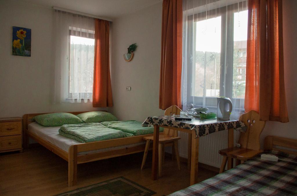 Willa Jafer - Zakopane Centrum Cameră foto